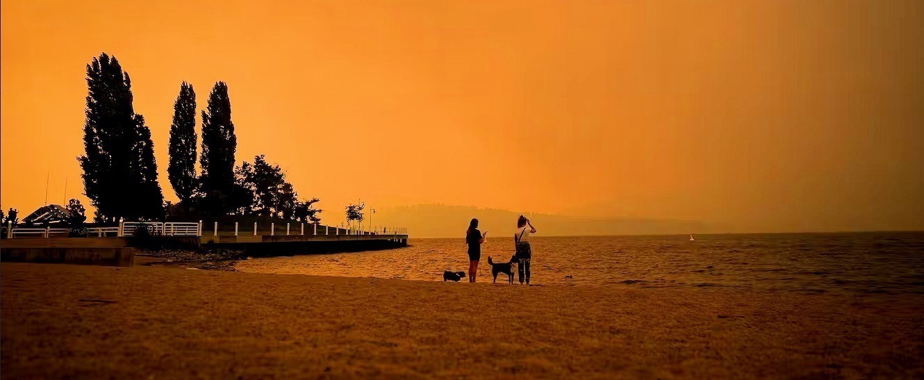 Canada must stop treating climate disasters like unexpected ...